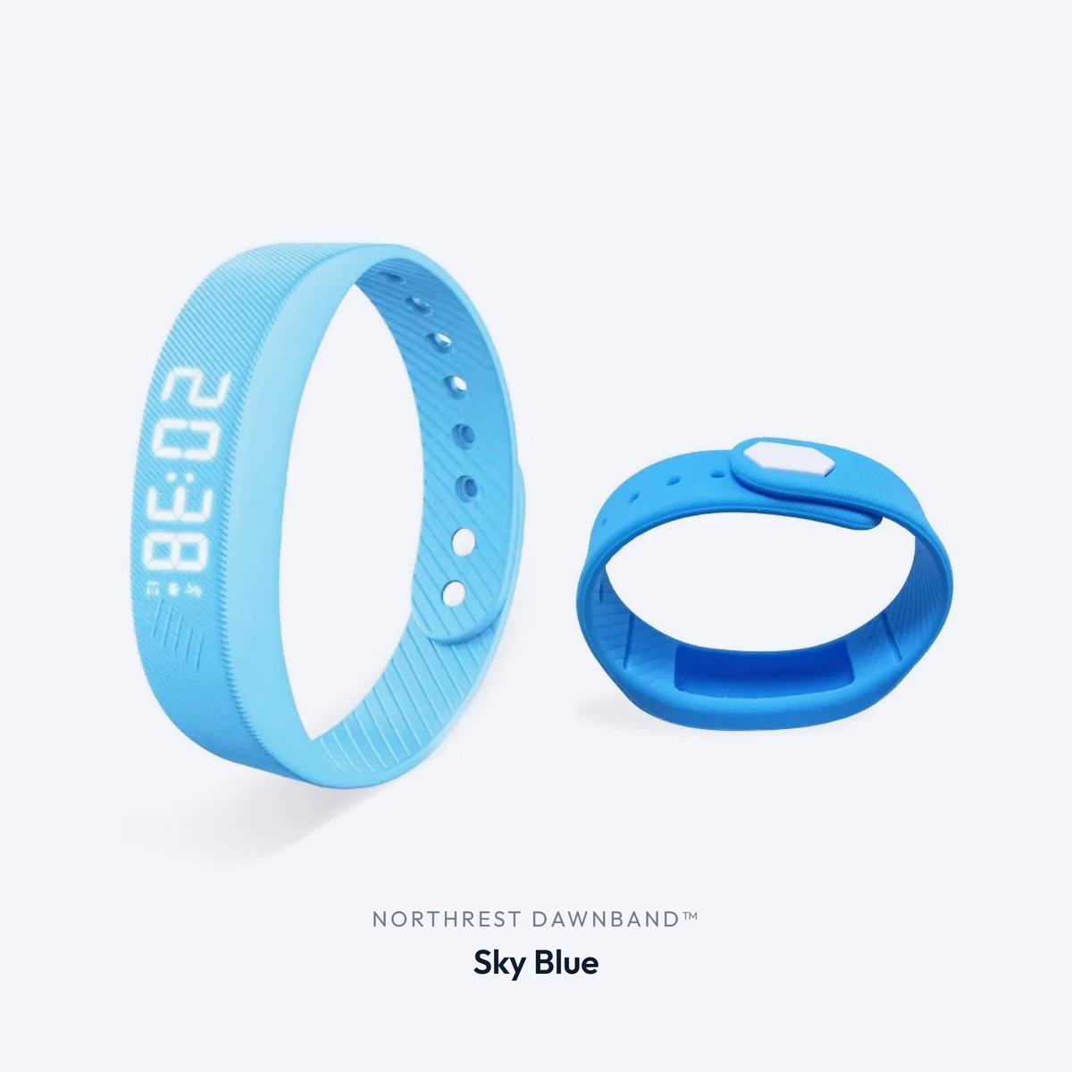 DawnBand in Sky Blue