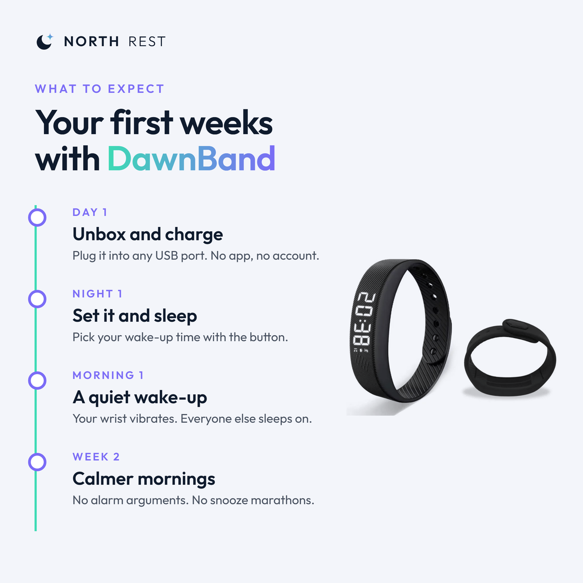 nr timeline